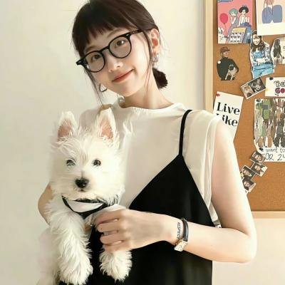 早安总统
